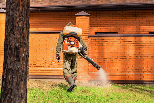 Bed Bug Clearance Verification and Documentation in Glenn Heights